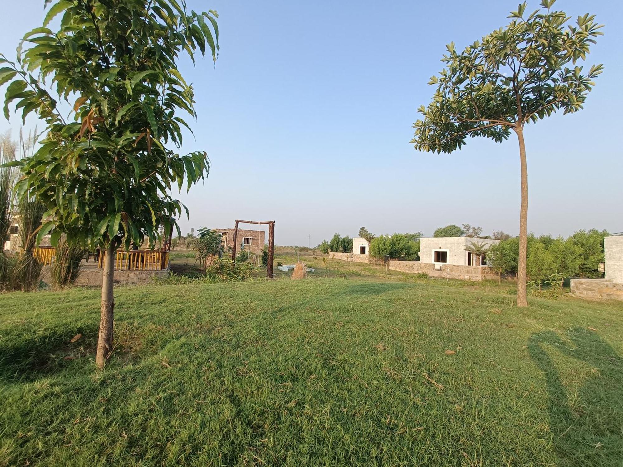 Jawai Wildlife Safari Camp Bed & Breakfast Nana Екстериор снимка