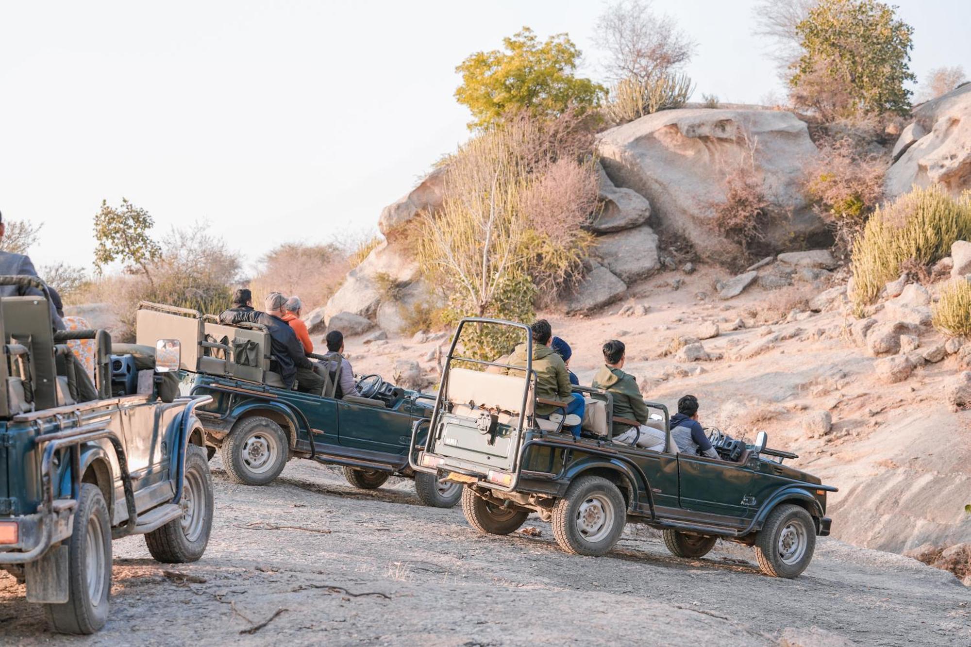 Jawai Wildlife Safari Camp Bed & Breakfast Nana Екстериор снимка